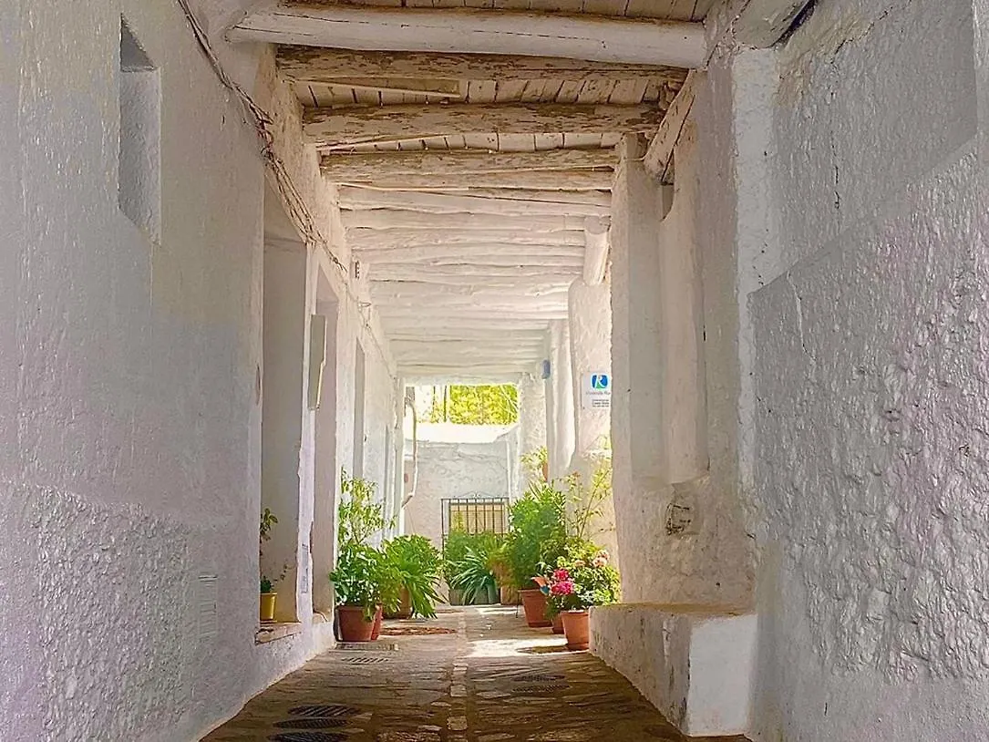 Apartment Casa Rural Vata Pampaneira Alpujarra